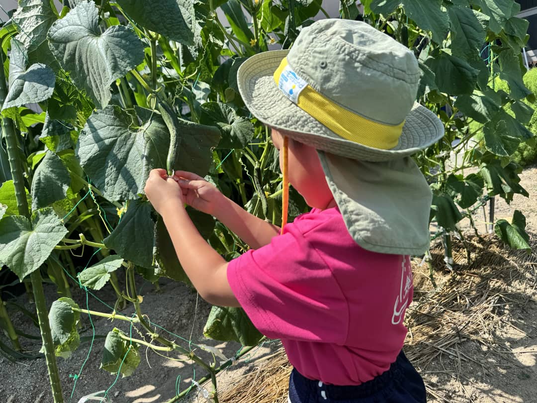 フォトギャラリー5